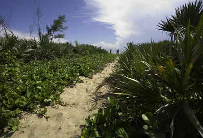 4001 North Ocean Condos in Gulf Stream, Florida
