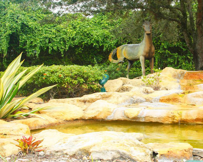 Parkland FL Homes and Real Estate