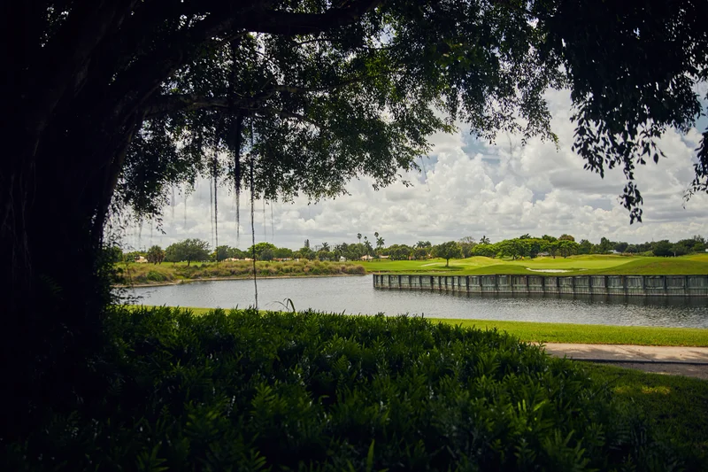 Lakes at Boca Raton Homes for Sale in West Boca Raton, FL