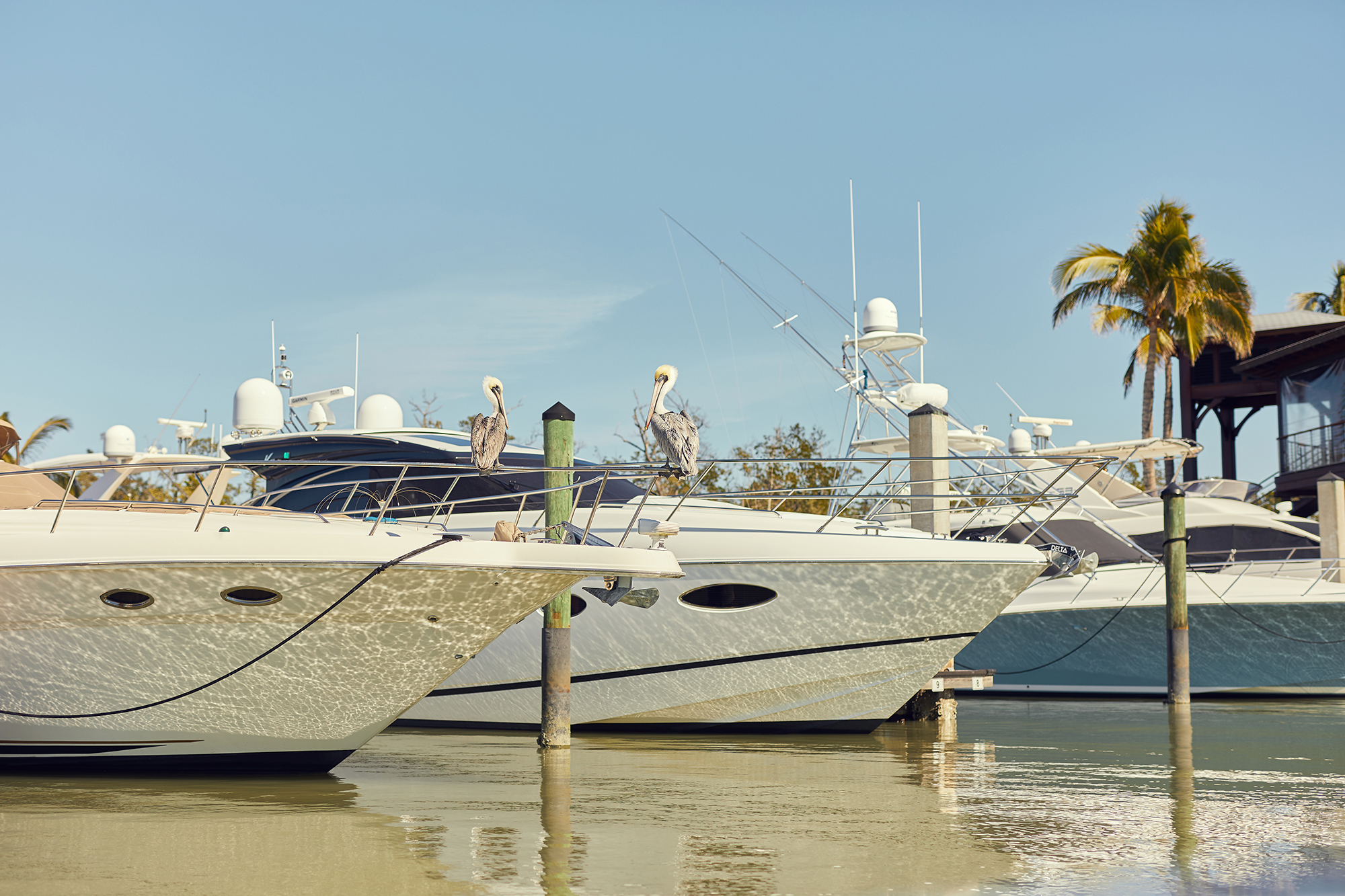 Delray Harbor Club Condos for Sale in Delray Beach, FL